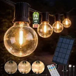 Lichtschläuche & Lichterketten Schwarz von Lumiled