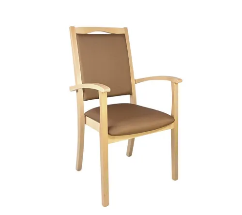 Erides Seniorenstuhl Alexander Hochlehner – Ergonomischer Pflegestuhl mit Armlehnen - Relaxsessel & -liegen: Hochlehner aus massivem Buchenholz, ergonomisch gepolstert für maximalen Komfort und hohe Sicherheit beim Sitzen und Aufstehen.