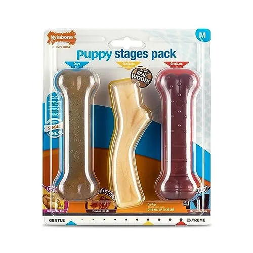 Nylabone Welpen Stufen Dreierpack, sanftes Huhn Starter kauen, Graduate Ahorn Speck Holz Stick, Graduate Rindfleisch Jerky Extreme Knochen, Medium (1 Packung mit 3 Kauspielzeug)
