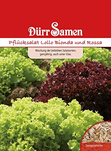 Dürr-Samen - Pflücksalat Lollo Mischung Bionda + Rossa Saatgut