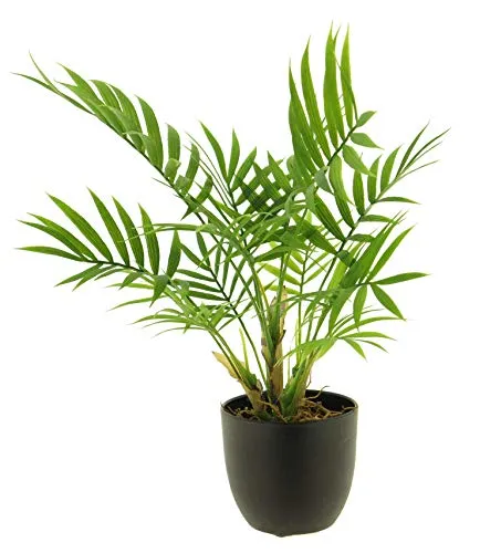 mucplants Künstliche Palme Chamaedorea Grün im Topf Kunstpflanze Höhe:ca.36cm Dekopflanze