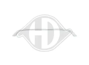 Diederichs Zier-\/Schutzleiste, Kühlergitter 1206841 von DIEDERICHS