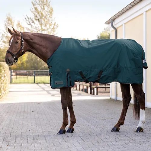 Waldhausen Outdoordecke Arctic 50g - petrolblau, 135 - Reit- & Pferdebedarf: Atmungsaktive, wasserdichte Outdoordecke mit 50g Füllung für optimalen Schutz und Bewegungsfreiheit bei widrigen Bedingungen.