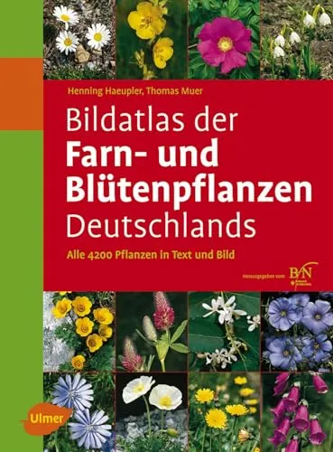 Bildatlas der Farn- und Blütenpflanzen Deutschlands: Entdecken Sie alle 4200 Pflanzen - Garten & Pflanzen: Umfassender Bildatlas mit detaillierten Informationen zu 4200 Farn- und Blütenpflanzen für Hobbygärtner und Botaniker.