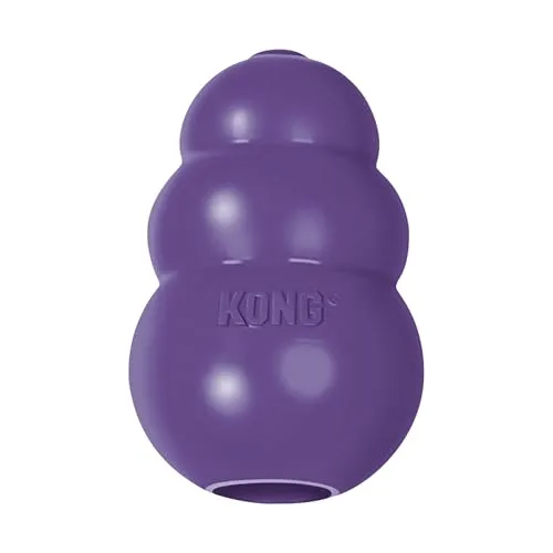 Kong Hundespielzeug von Kong
