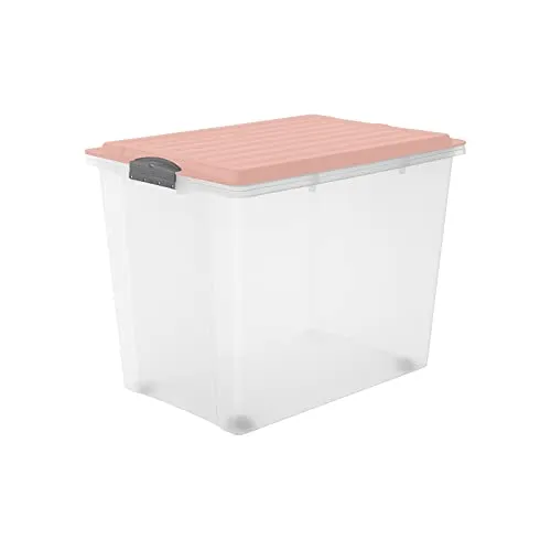 Rotho Aufbewahrungsbox mit Rollen 70L COMPACT - Robuste Kunststoffbox - Aufbewahrungsboxen für Ordnung im Haushalt, stapelbar und perfekt verschließbar, ideal für kleine Teile und Werkstattzubehör.