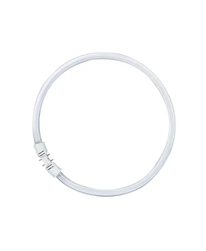 Osram Leuchtstofflampe FC 40 Watt 840 neutralweiß 2GX13 - Energieeffiziente Circular Ringlampe für gleichmäßige Ausleuchtung. Ideal für den professionellen Einsatz in zugelassenen Leuchten.