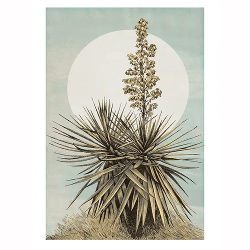 Wandbild PLANS DE LAGON - bunt - 50x70 cm Wandbild Grafik Poster