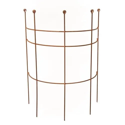 ecosoul Staudenhalter Strauchhalter Staudenstütze Rankgerüst halbrund braun Rost Rankhilfe Metall Eisen Deko 85cm hoch 1 Stück (60cm breit x 85cm hoch)