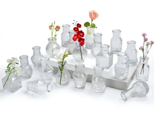 Aevcvok 20 Stück Kleine Glasvase,Vasen Set Vintage Mini Vasen Deko Set Verschiedene Groessen Blumenvase für Tischdeko Zuhause Hochzeiten Tafelaufsätze Party Wohnzimmer Geburtstage Feste,Transparent