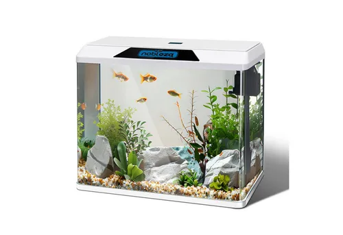 54L Mini Aquarium mit LED-Beleuchtung und Filtersystem
