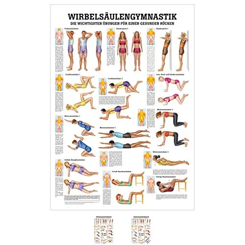 Sport-Tec Wirbelsäulengymnastik Mini-Poster Anatomie 34x24 cm medizinische Lehrmittel