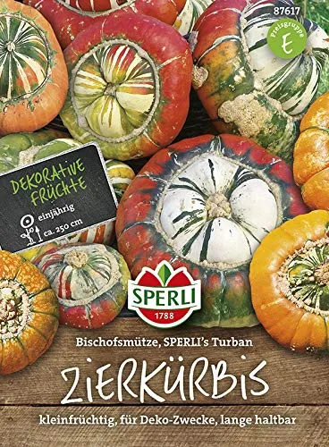 Sperli-Samen Zierkürbis Bischofsmütze SPERLI's Turban
