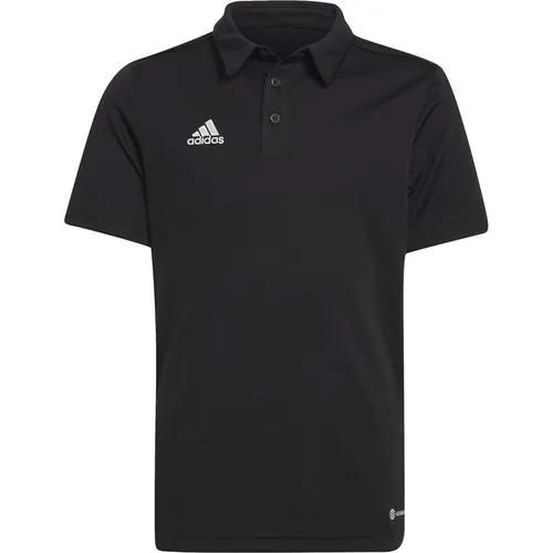 adidas Entrada 22 Polo Kinder (164) (35235481)
