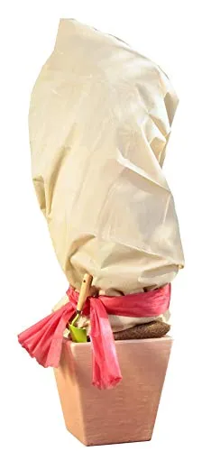 Windhager Winter-Vlies Superprotect, Kälteschutz, Frostschutz für Pflanzen und Bäume, Abdeckvlies, Winterschutzhaube, 1,5 x 3 m, beige