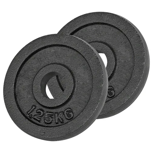 Hantelscheibe aus Gußeisen, Hantel, Gewichte, 2x Stück: 1,25 kg