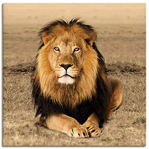 ARTLAND Wanddeko Leinwand Bilder Wandbild 40x40 cm Löwe Tiere Afrika Safari Savanne Steppe Natur Löwenmähne T5RJ