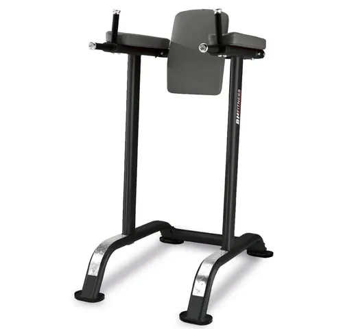 Sport-Knight® Multifunktionale Trainingsbank Bauch-Trizeps-Turm mit Polsterung - Vielseitiger Bauch- und Trizepsturm für effektives Training. Ergonomisches Design und robuste Stahlkonstruktion sorgen für Sicherheit und Komfort – ideal für alle Fitnesslevels.