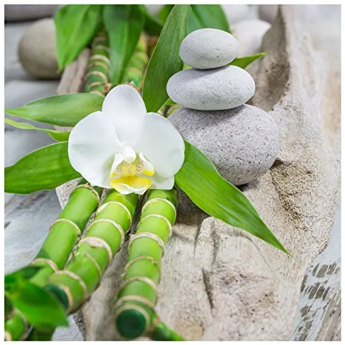 levandeo Glasbild 30x30cm Weiße Orchidee Bambus Wellness Wandbild Wanddeko Dekoration