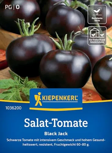 Kiepenkerl Salat-Tomatensamen Black Jack 1036200 in schwarz von Kiepenkerl