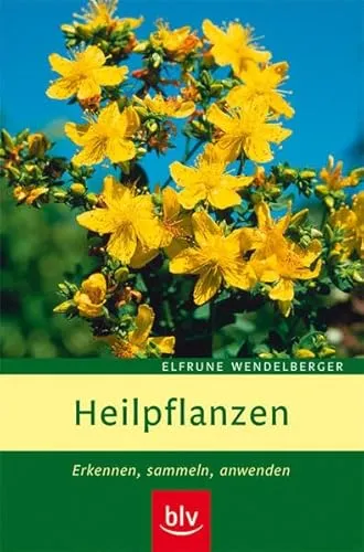 Heilpflanzen: Erkennen, sammeln, anwenden