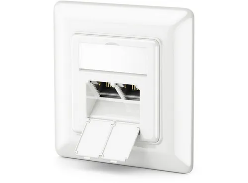 deleyCON deleyCON 1x CAT6a Netzwerkdose 2x RJ45 Buchse Geschirmt Unterputz Netzwerk-Adapter