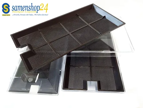 Pflanzen Schwarz von Samenshop24