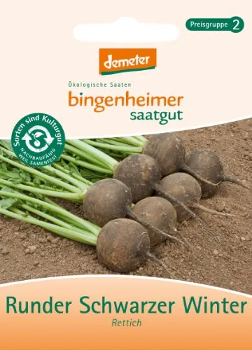 Bingenheimer Saatgut - Runder Schwarzer Winter - Rettich - 1 Tüte