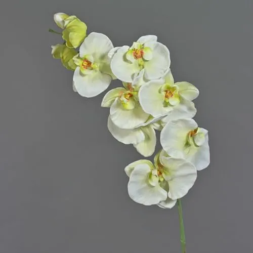 artplants.de Kunststoff Phalaenopsis Orchidee WESA, weiß-grün, 100cm - Künstlicher Orchideenzweig