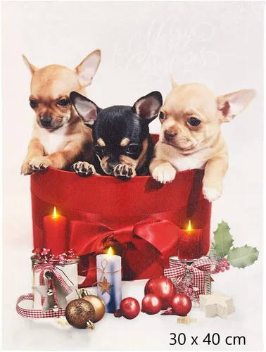 NEU Wandbild flackernde LEDs für Weihnachten Fest Geschenk Deko Stimmung Schmuck