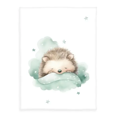 Herding babybest Kleiner Igel Microfaserflausch-Decke, Kuscheldecke, 75x100 cm, 100% Polyester, Weiß