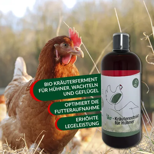 KE-Kräuterextrakt für Hühner 500ml, Ergänzungsfutter,bessert Nährstoffversorgung