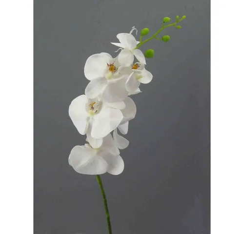 Kunstorchidee Kunstblume Phalaenopsis 86cm. Orchidee, Orchideentrieb., Gasper, Höhe 86.00 cm