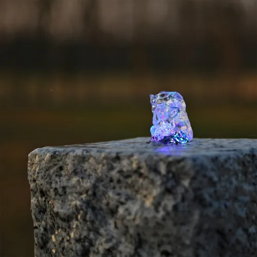 CLGarden LED Ring Licht RGB Multicolor für Springbrunnen - Wasserfester LED Ring mit 6 RGB LEDs für beeindruckende Lichteffekte in Ihrem Wasserspiel. Ideal für Springbrunnen und Quellsteine, einfach zu montieren und vielseitig einsetzbar.