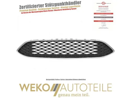 Diederichs Kühlergitter HD Priority Parts 1419042 von DIEDERICHS