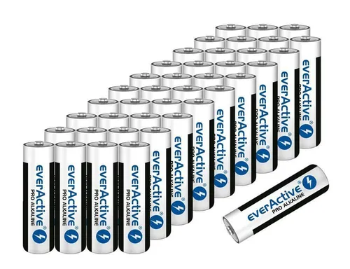 Everactive AA Mignon Batterien 2900 mAh 1,5 V HR06 MX1500 40 x