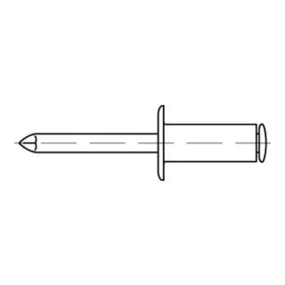 Blindniete A 2/St. verzinkt Flachkopf A 5 x 10 S - 500 Stück - Blindnieten für zuverlässige Verbindungen, verzinkt und mit Sollbruchdorn, ideal für Metall- und Bastelprojekte – 500 Stück in der Verpackung.