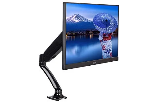 DS3001C-B1 - Verstellbarer Monitorarm, für Bildschirme von 10-27 Zoll, Tischmontage möglich, elegantes schwarzes Design