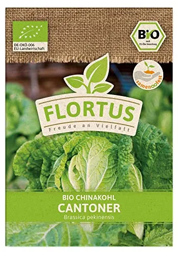 FLORTUS BIO Chinakohl Cantoner | Gemüsesamen | Kohlsamen | Chinakohlsamen | Samen zur Anzucht für Garten, Balkon, Küche & Fensterbank