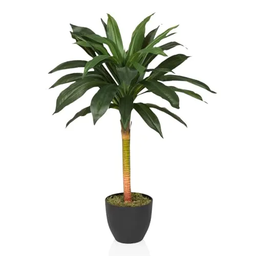 hjh OFFICE Kunstpalme 85cm Dracaena - Künstlicher Drachenbaum für Ihr Zuhause - Künstliche Pflanzen, ideal für Allergiker und pflegeleicht. Diese 85cm große Kunstpalme bringt frisches Grün in Büros, Wohnzimmer oder Gastronomien ohne Licht- und Pflegeaufwand.