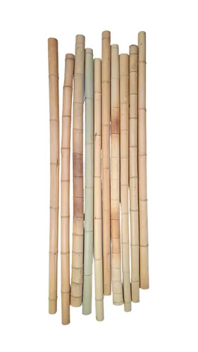 Produktbild Bambusstangen Bambus Bambusrohre Bambusstange Bambushalm 20 Stk. 195 cm Ø 3-4 cm