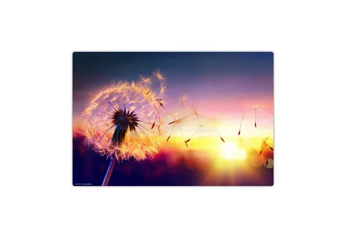 Schreibtischunterlage Pusteblume Sonnenlicht – Abwaschbare Vinylunterlage - Schreibunterlage aus hochwertigem, 1,6 mm dickem Vinyl, pflegeleicht und rutschfest. Ideal für Büro oder Zuhause, schützt deine Tischoberfläche vor Kratzern und Flecken.