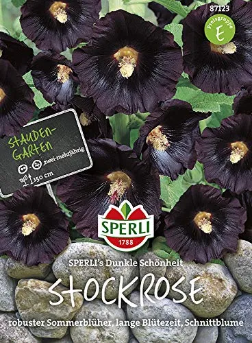 Sperli 87123 Schwarze Stockrose (Stockmalve) Dunkle Schönheit (Malvensamen)