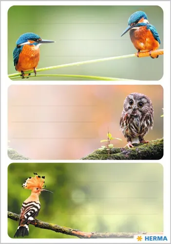 HERMA Buchetiketten VARIO