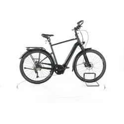 Pegasus Premio Evo 10 Lite Comfort Trekking E-Bike