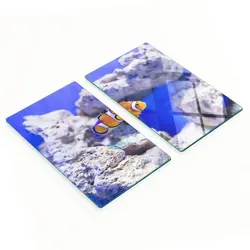 Set aus zwei Glas-Küchenbrettern Nemo Korallenriff 2x30x52 cm