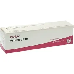 Arnika-Salbe 30 G