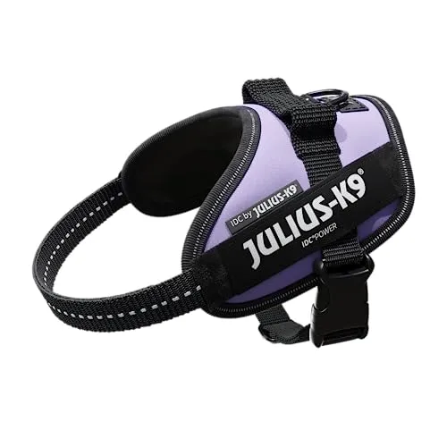JULIUS K-9 IDC Powergeschirr, Größe: XS / Mini-Mini, Lila von JULIUS-K9