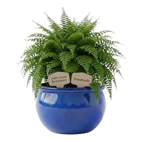 Teramico Pflanzgefäß Blumentopf Royal Blau in blau von Teramico