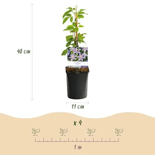 Produktbild GreenboutiQ